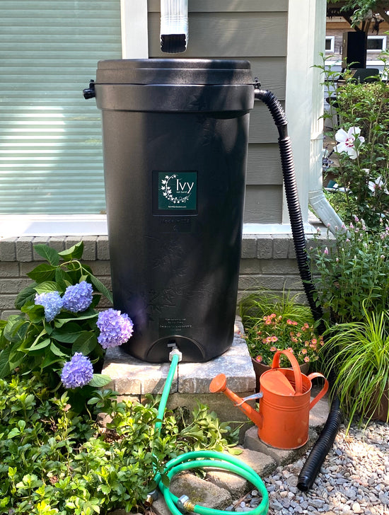 Rain barrel program – Rain Water Solutions Inc.